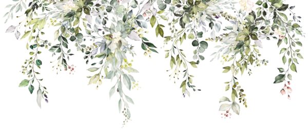 Papier peint Vert délicat en blanc