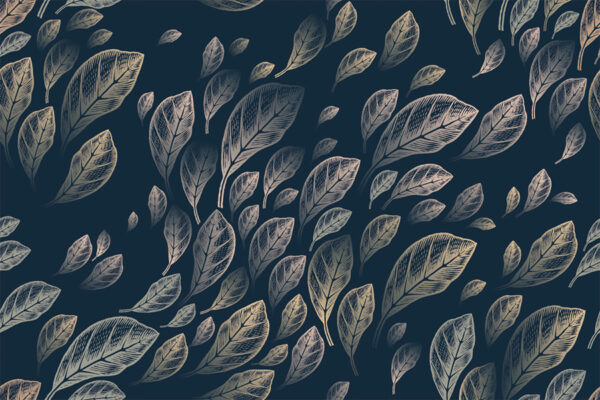 Papier peint Feuilles sur fond bleu marine