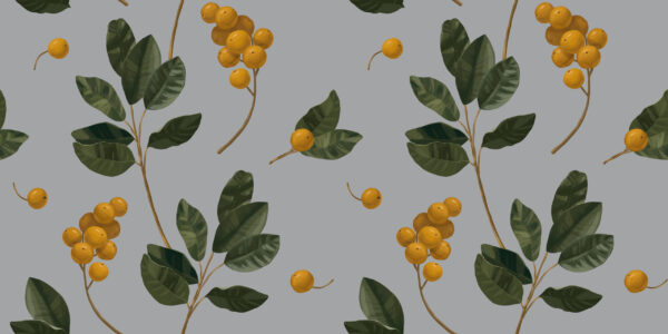 Papier peint Mirabelles