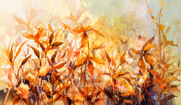 Papier peint Couleurs d'automne