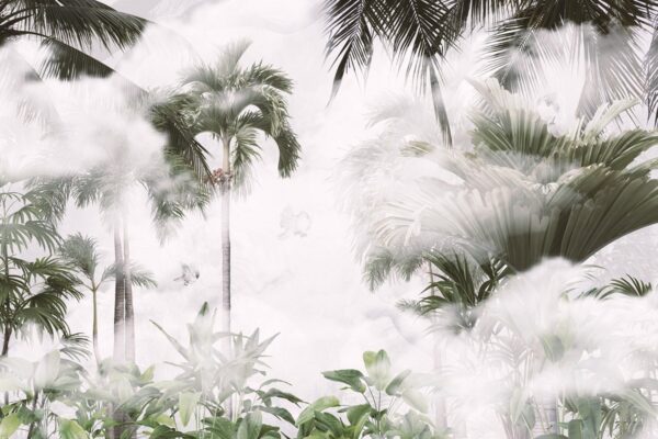 Papier peint Palmiers dans le brouillard