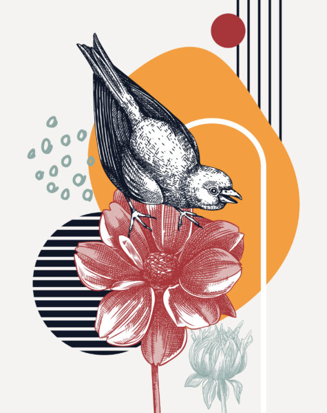Papier peint Abstraction des oiseaux