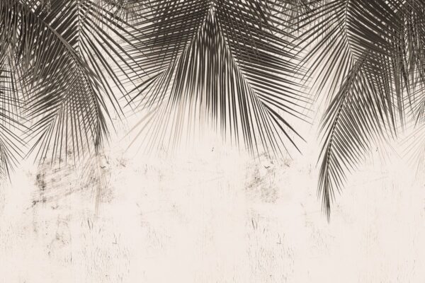 Papier peint Feuilles de palmier sombres