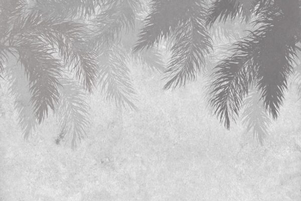 Papier peint Feuilles qui tombent grises