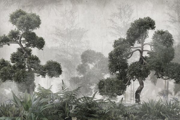 Papier peint Deux arbres sombres