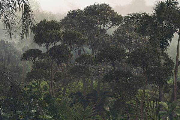 Papier peint Forêt tropicale