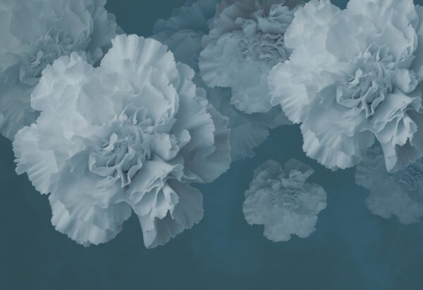 Papier peint Fleurs bleues