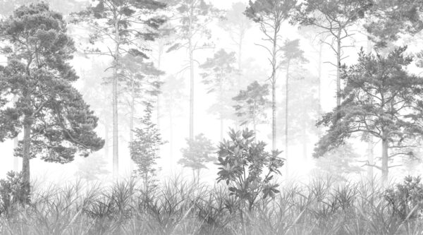 Papier peint Brume blanche dans la forêt sombre