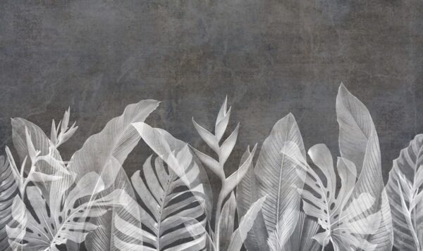 Papier peint Feuilles de Monstera grises