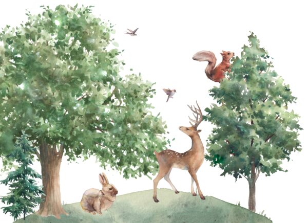 Papier peint Animaux de la forêt