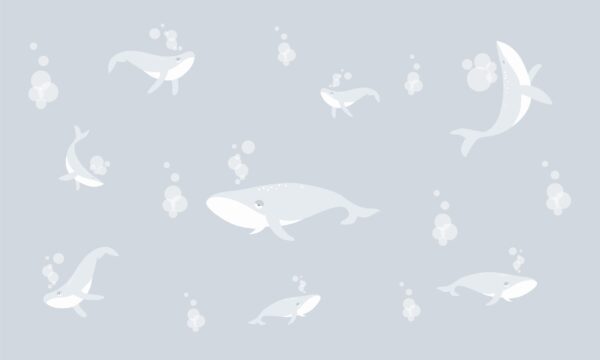 Papier peint Baleines grises sous-marines