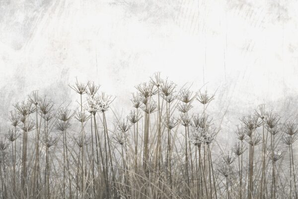 Papier peint Herbes hautes