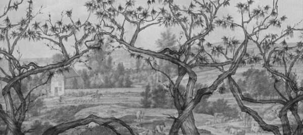 Papier peint Paysage rural noir et blanc