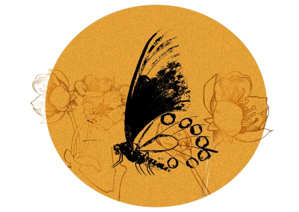Papier peint Papillon en jaune