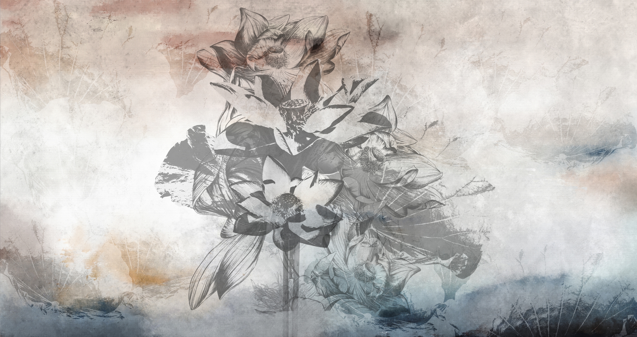Lotus,Flowers,And,Leaves.,Floral,Background,For,Wallpaper,,Photo,Wallpaper,
