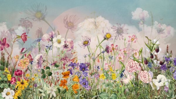 Papier peint Prairie colorée