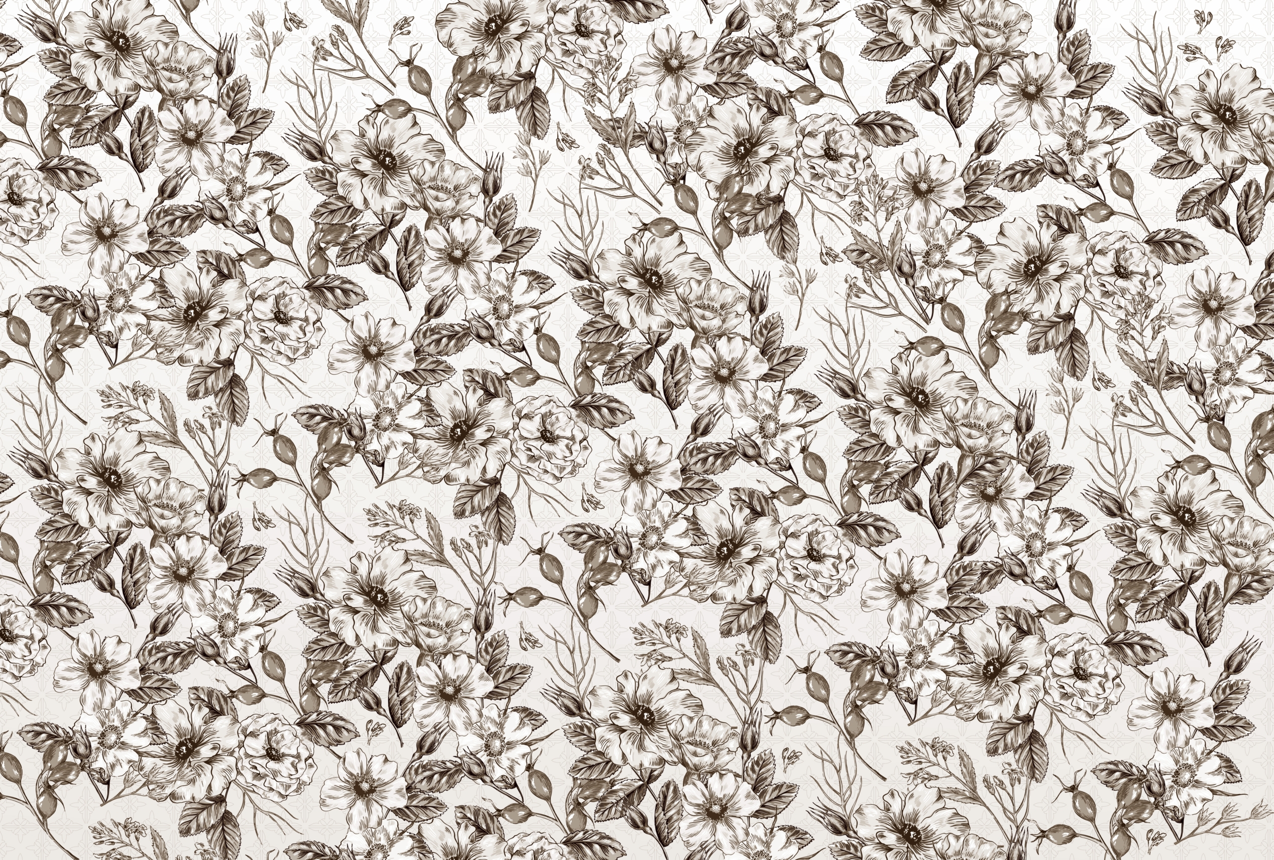 Wild,Roses,,Beautiful,Flowers,With,Ormenent,In,Background-,Digital,Illustration