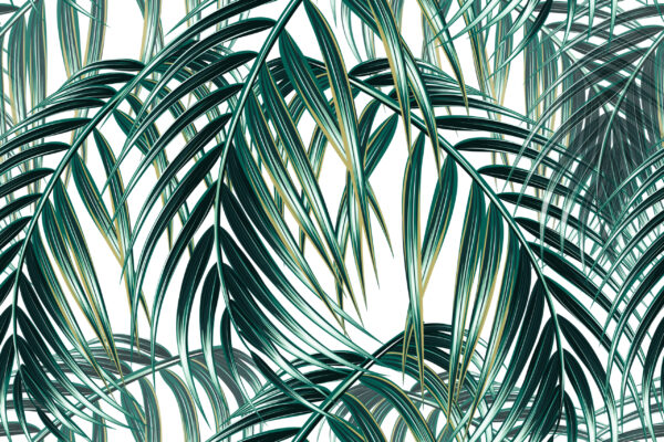 Papier peint Feuilles tropicales