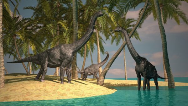 Papier peint Île aux dinosaures