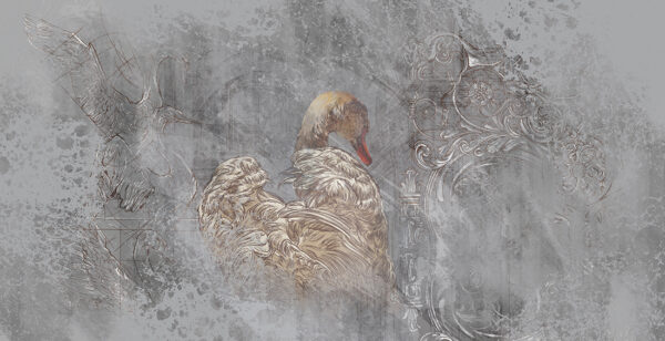 Papier peint Cygne du paradis