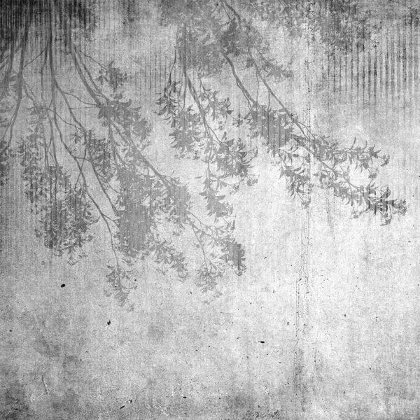 Papier peint Feuilles aériennes sur béton