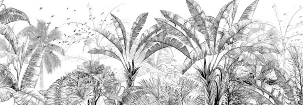 Papier peint Bananiers en noir et blanc