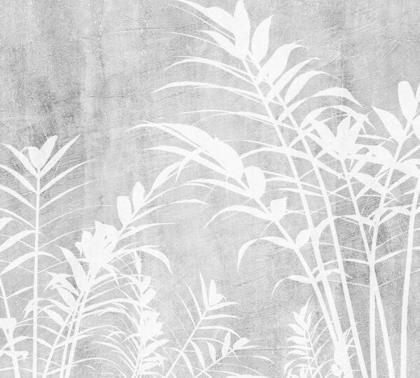 Papier peint Feuilles blanches sur fond de béton
