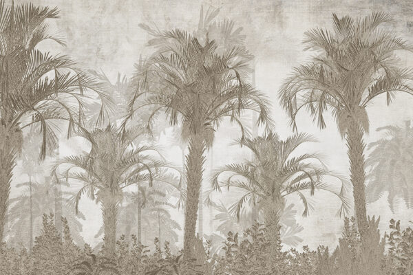 Papier peint Arbres exotiques dans le brouillard