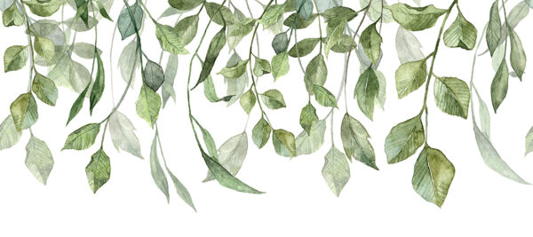 Papier peint Feuilles de printemps