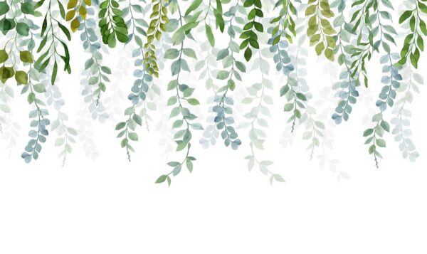 Papier peint Branches suspendues délicates