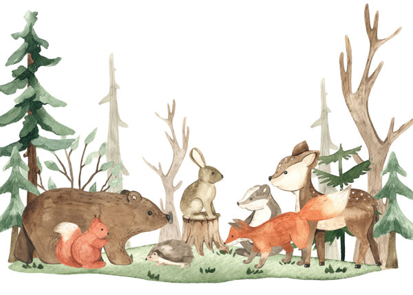 Papier peint Pack Forêt