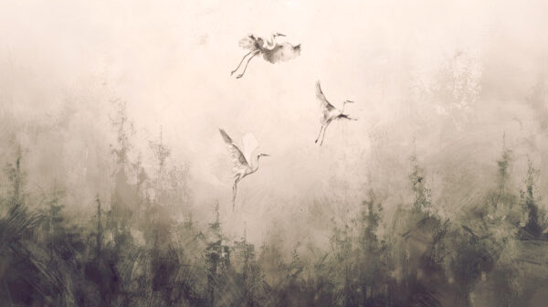 Papier peint Oiseaux majestueux en vol