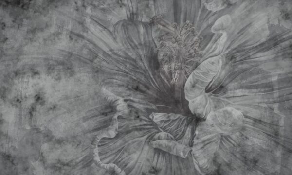 Papier peint Fleur sombre