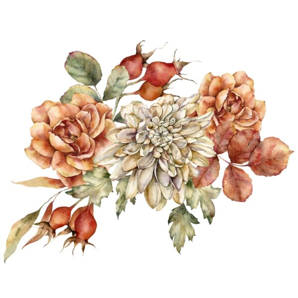 Papier peint Fleur de rose sauvage rouge