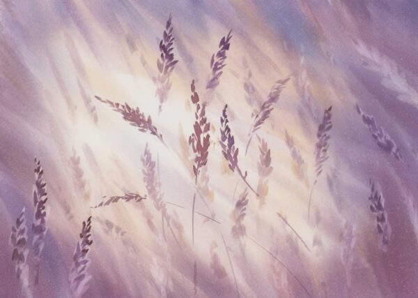 Papier peint Flaccidité violette des graminées