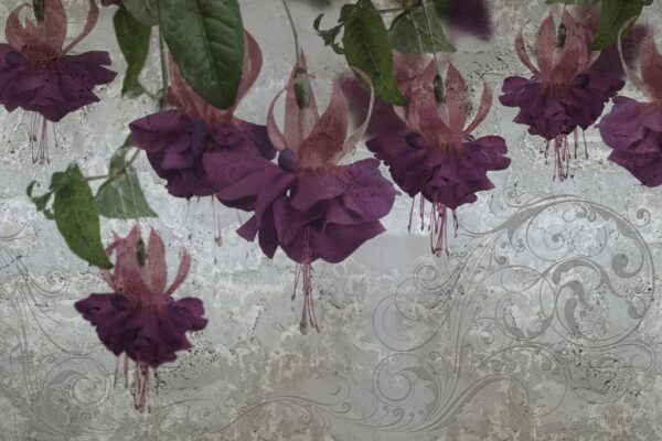 Papier peint Fleurs violettes