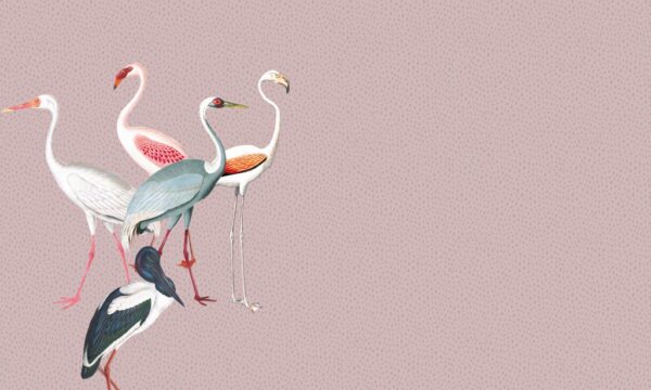 Papier peint Flamants roses à pois
