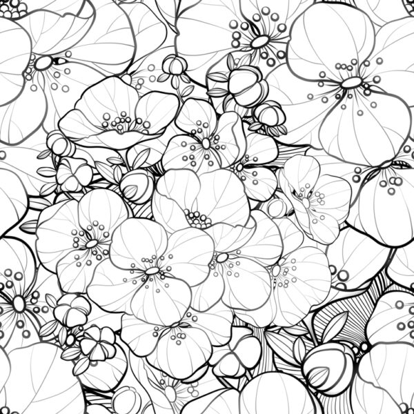 Papier peint Graphique de fleurs blanches