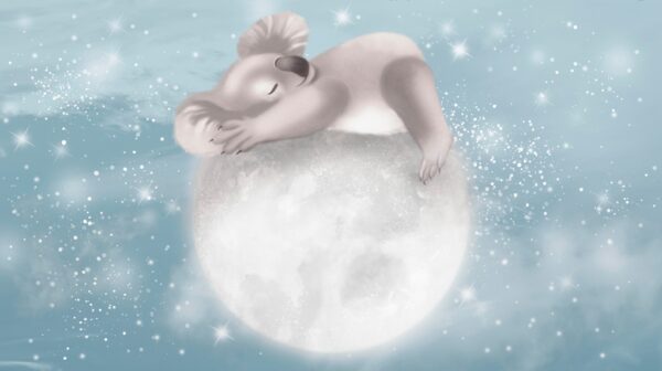 Papier peint Koala sur la Lune