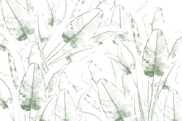 Papier peint Contours des feuilles de figuier