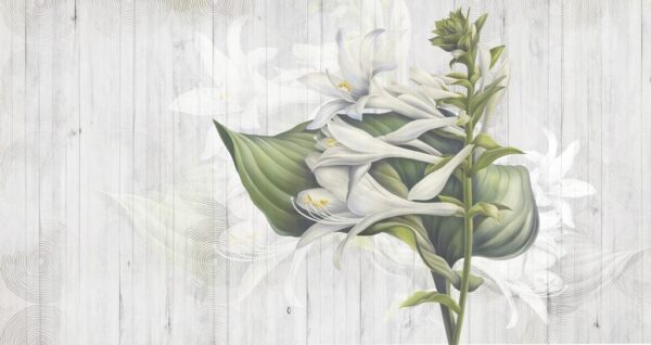 Papier peint Fleur sur le sol