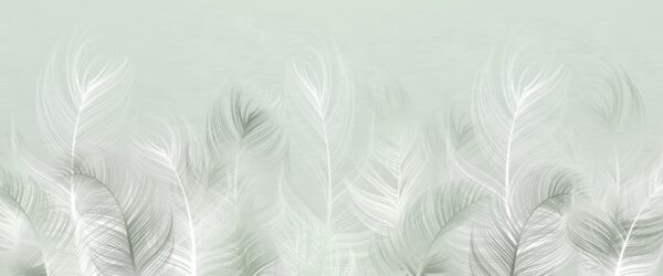 Papier peint Légèreté des plumes