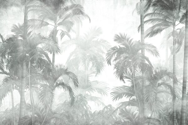 Papier peint Brouillard parmi les palmiers