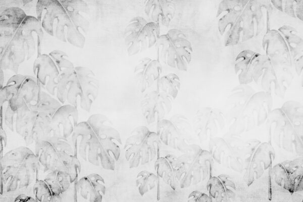 Papier peint Monstera invisible