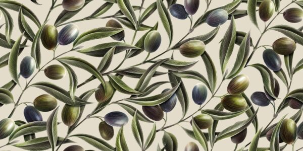 Papier peint Mur d'oliviers