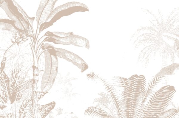 Papier peint Palmier sur fond blanc
