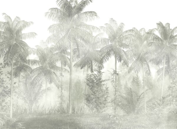 Papier peint Palmiers et brouillard