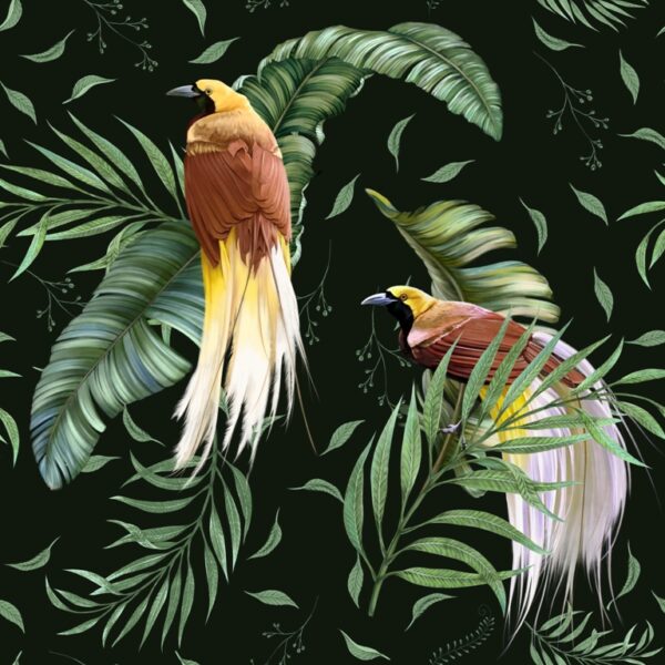 Papier peint Une paire d'oiseaux exotiques