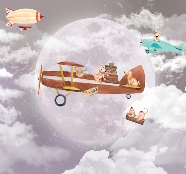 Papier peint Chiens dans un avion