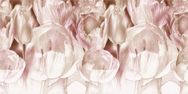 Papier peint Tulipes roses
